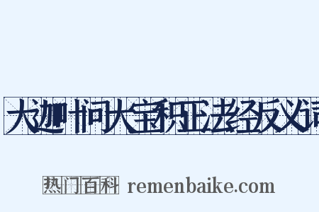大迦叶问大宝积正法经反义词是什么意思的图片